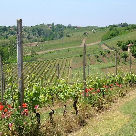 Cascina Rollone Villa Rocchetta Tanaro Exterior foto